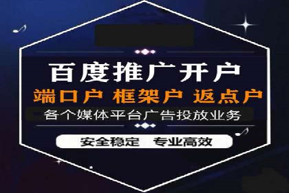 SEM运营推广策略：成功案例解析